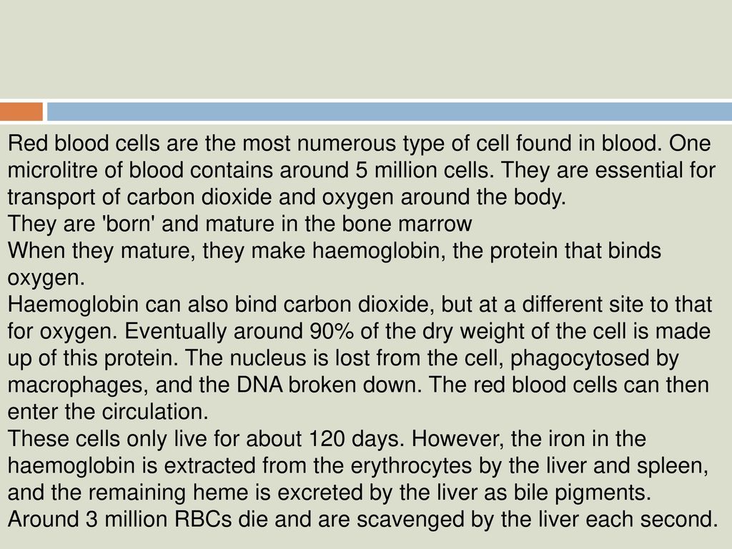 BLOOD CELLS AND HEMATOPOESIS ppt download